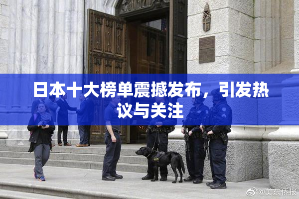 日本十大榜单震撼发布，引发热议与关注