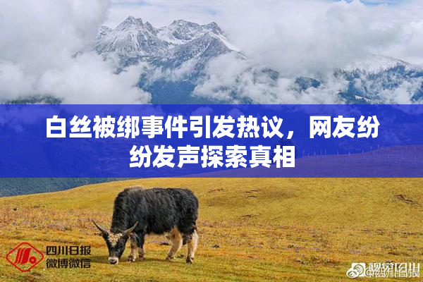 白丝被绑事件引发热议，网友纷纷发声探索真相