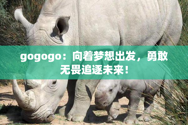 gogogo：向着梦想出发，勇敢无畏追逐未来！