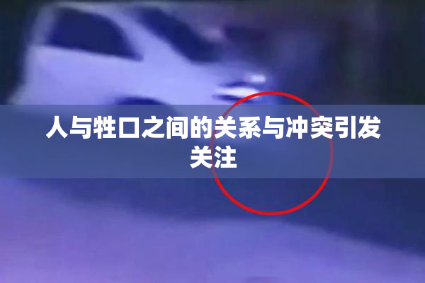人与牲口之间的关系与冲突引发关注