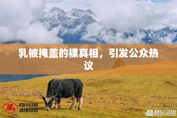 乳被掩盖的裸真相，引发公众热议