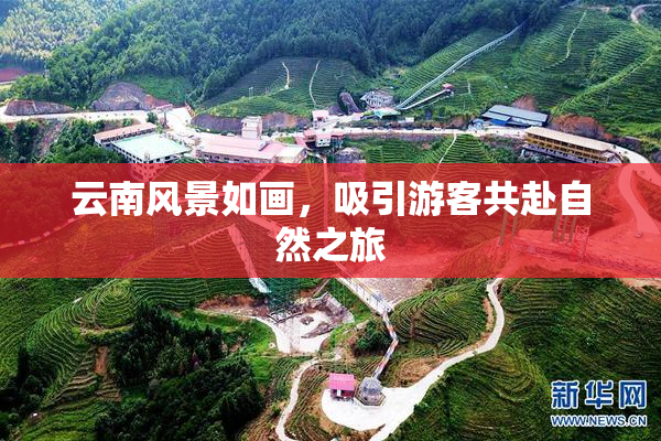 云南风景如画，吸引游客共赴自然之旅