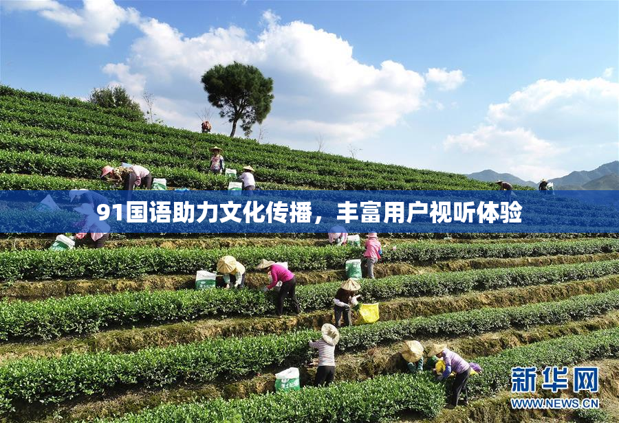 91国语助力文化传播，丰富用户视听体验