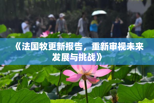 《法国牧更新报告，重新审视未来发展与挑战》
