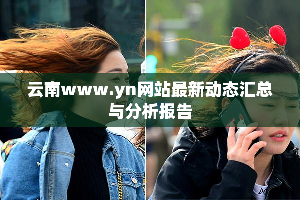 云南www.yn网站最新动态汇总与分析报告