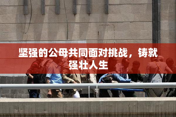 坚强的公母共同面对挑战，铸就强壮人生