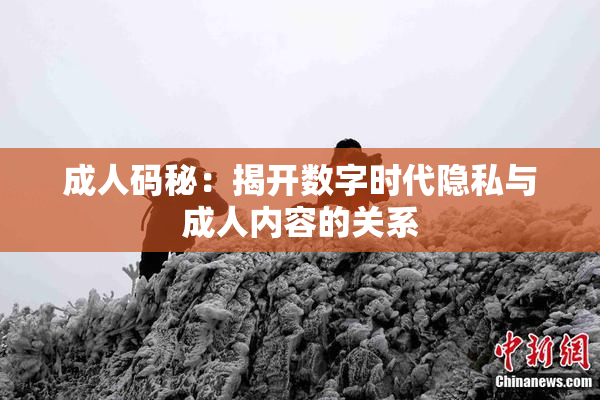 成人码秘：揭开数字时代隐私与成人内容的关系