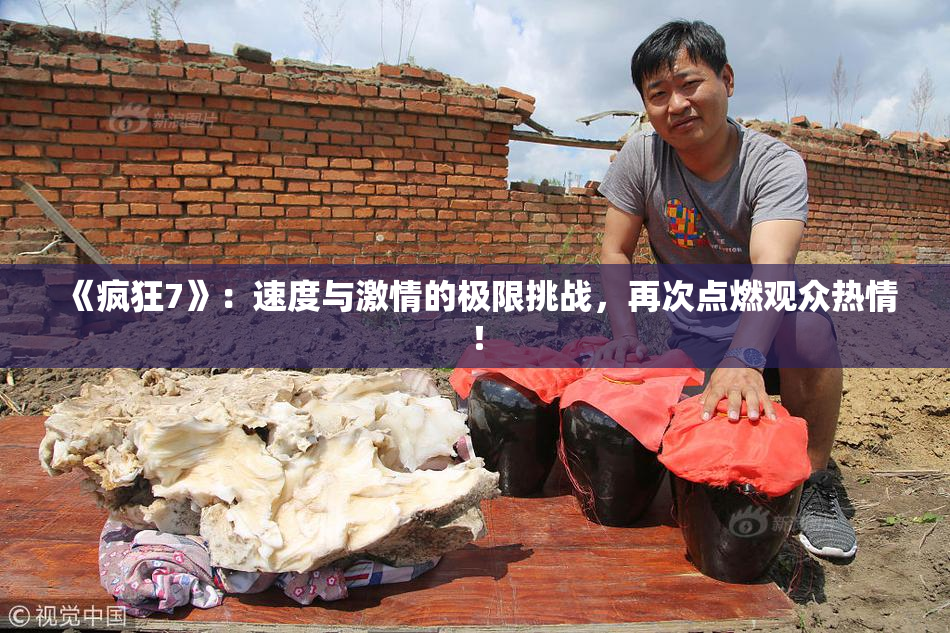 《疯狂7》：速度与激情的极限挑战，再次点燃观众热情！