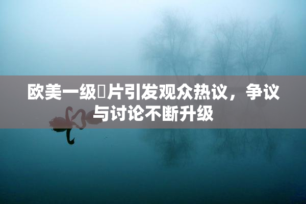 欧美一级婬片引发观众热议，争议与讨论不断升级