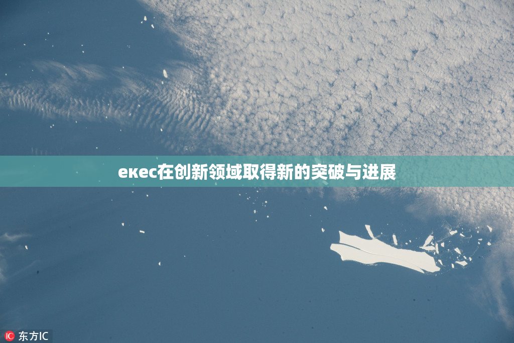 екес在创新领域取得新的突破与进展