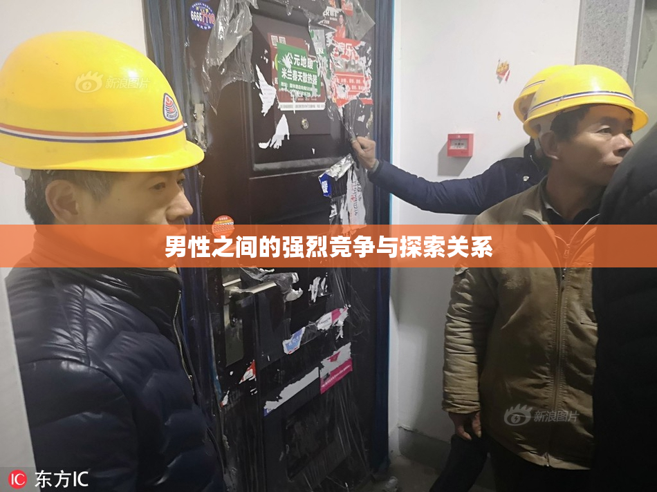 男性之间的强烈竞争与探索关系