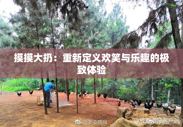 摸摸大扔：重新定义欢笑与乐趣的极致体验