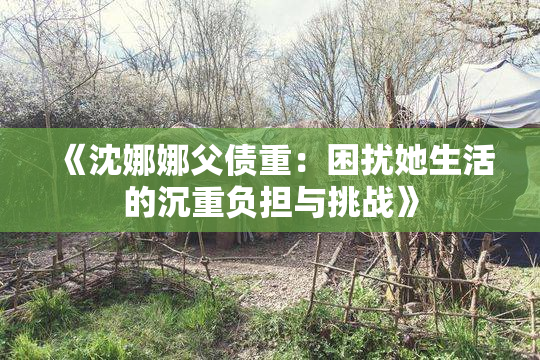《沈娜娜父债重：困扰她生活的沉重负担与挑战》