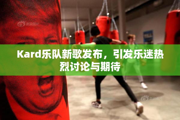 Kard乐队新歌发布，引发乐迷热烈讨论与期待