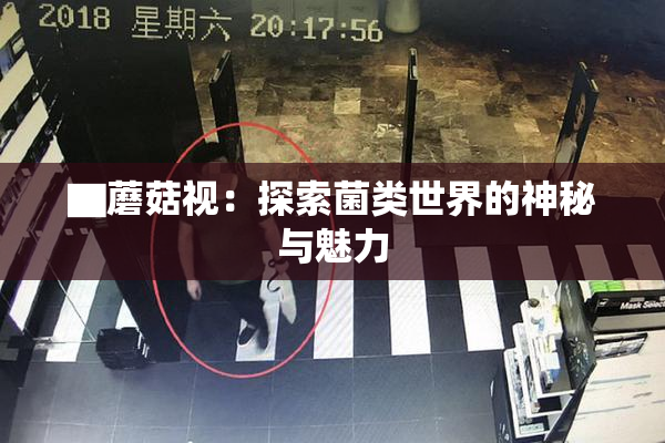▇蘑菇视：探索菌类世界的神秘与魅力