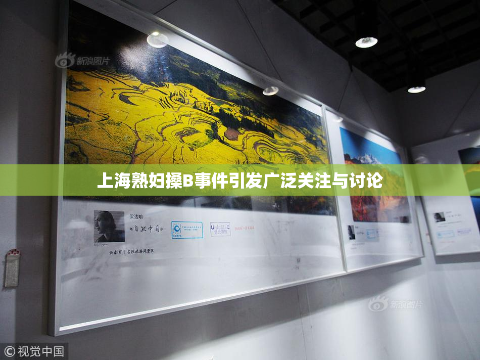 上海熟妇搡B事件引发广泛关注与讨论