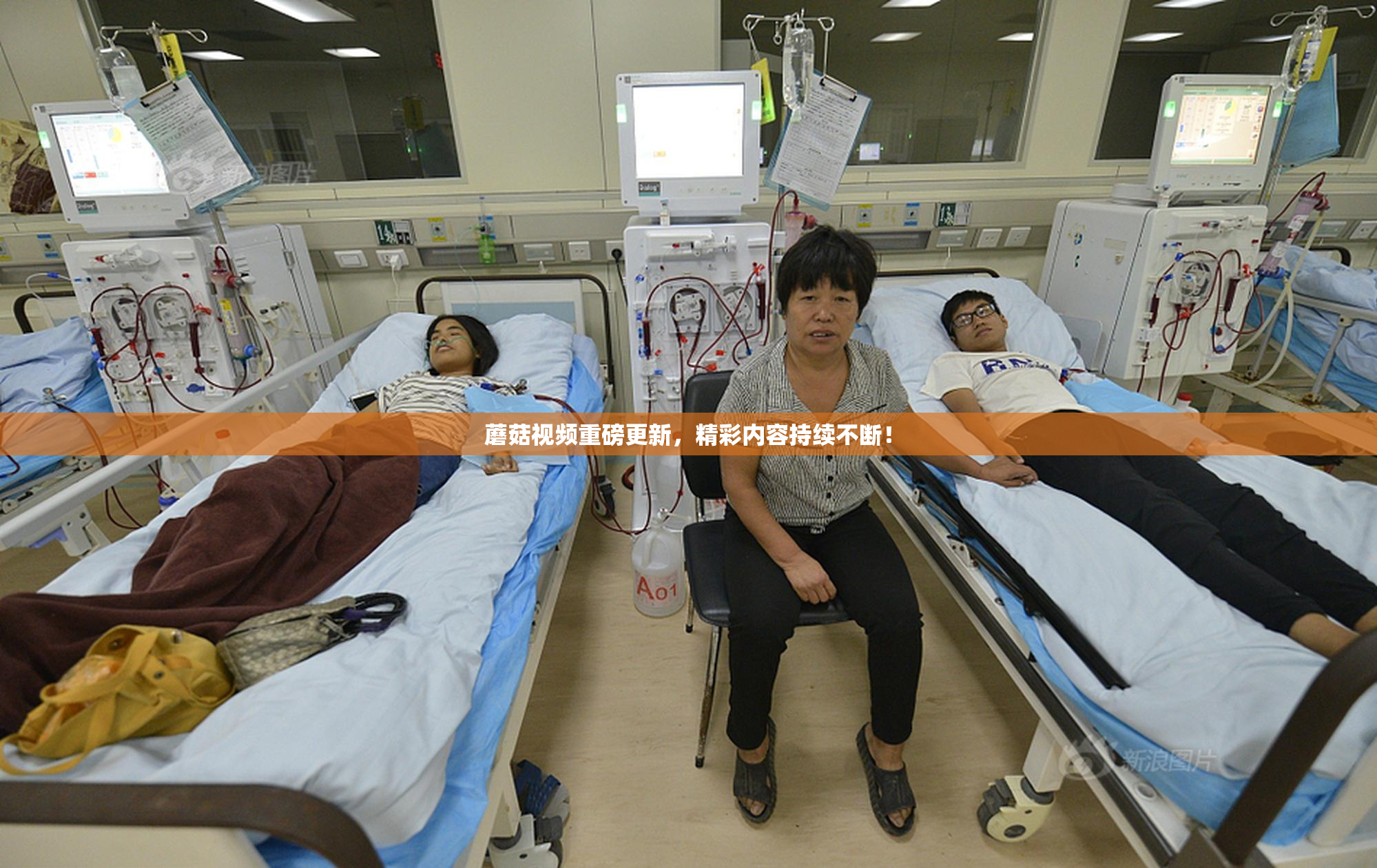 蘑菇视频重磅更新，精彩内容持续不断！