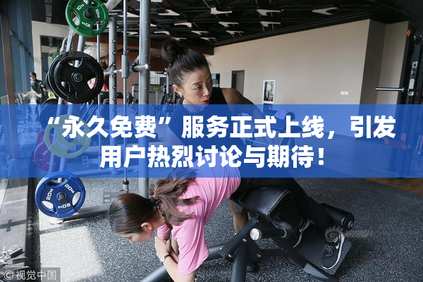 “永久免费”服务正式上线，引发用户热烈讨论与期待！