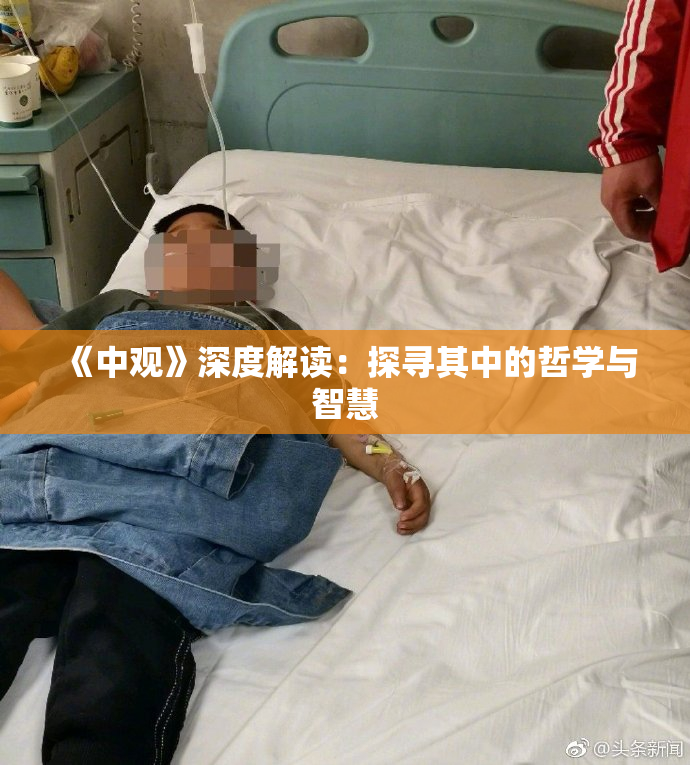 《中观》深度解读：探寻其中的哲学与智慧