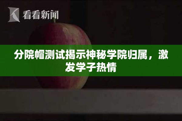 分院帽测试揭示神秘学院归属，激发学子热情
