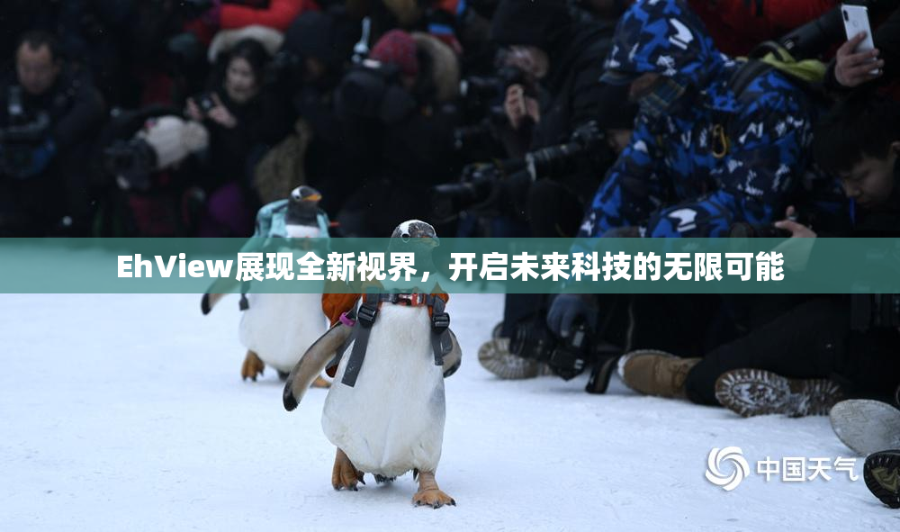 EhView展现全新视界，开启未来科技的无限可能