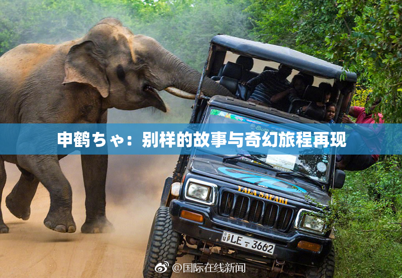 申鹤ちゃ：别样的故事与奇幻旅程再现