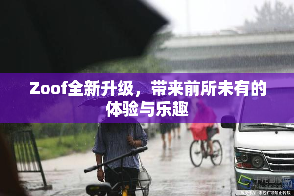 Zoof全新升级，带来前所未有的体验与乐趣