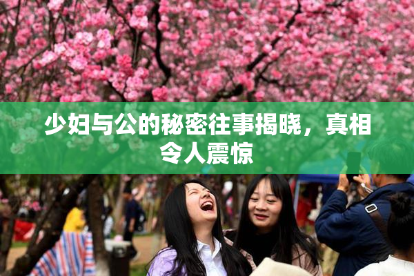 少妇与公的秘密往事揭晓，真相令人震惊