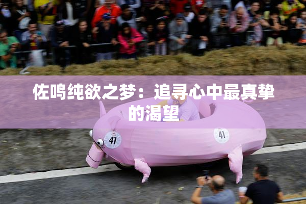 佐鸣纯欲之梦：追寻心中最真挚的渴望