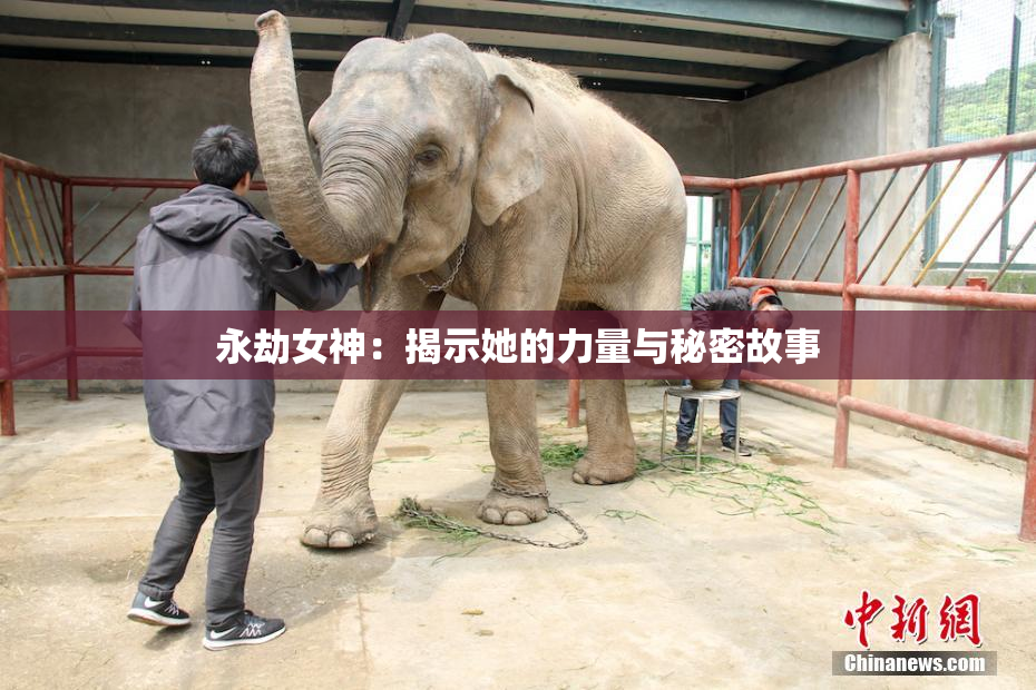 永劫女神：揭示她的力量与秘密故事