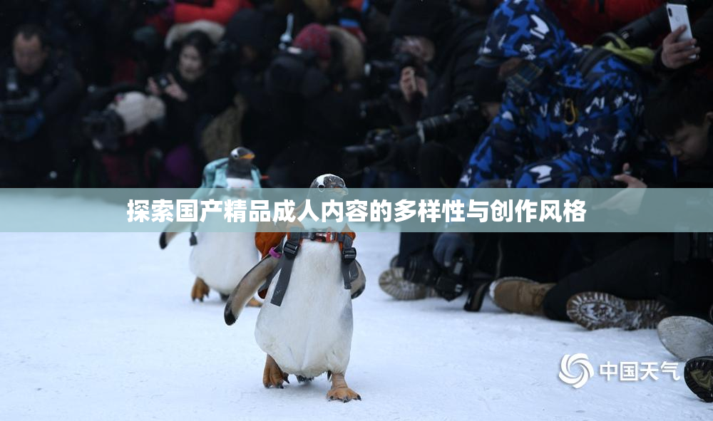 探索国产精品成人内容的多样性与创作风格