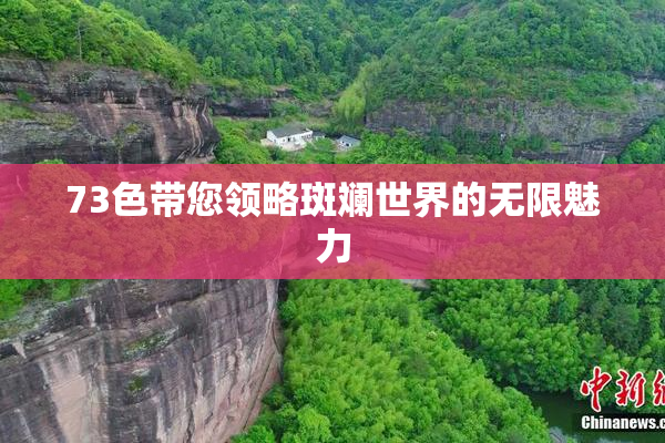 73色带您领略斑斓世界的无限魅力