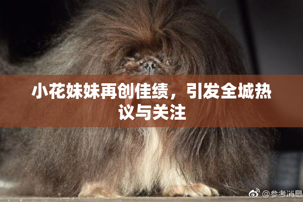 小花妹妹再创佳绩，引发全城热议与关注