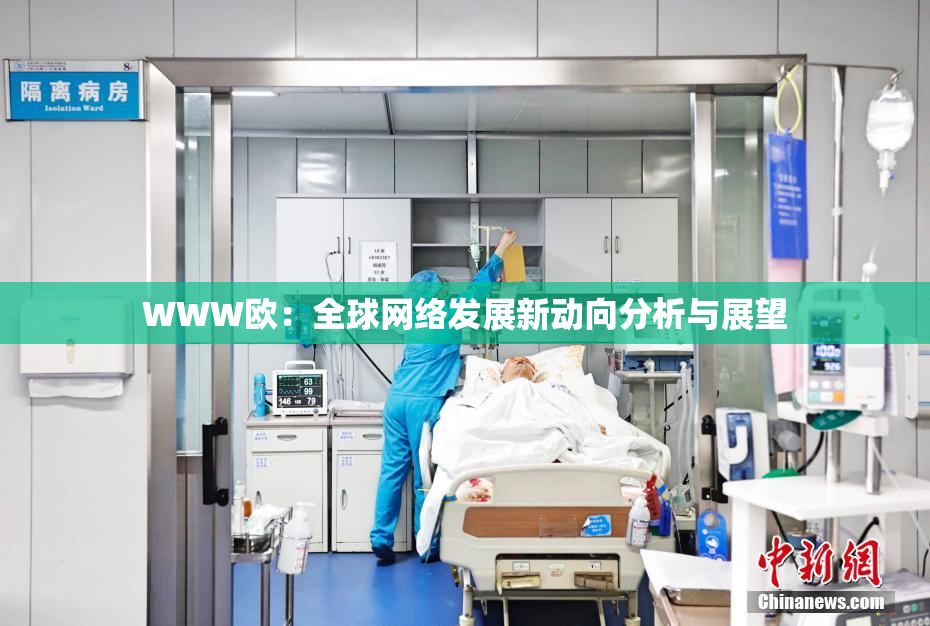 WWW欧：全球网络发展新动向分析与展望