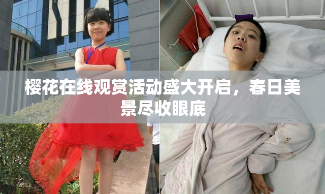 樱花在线观赏活动盛大开启，春日美景尽收眼底
