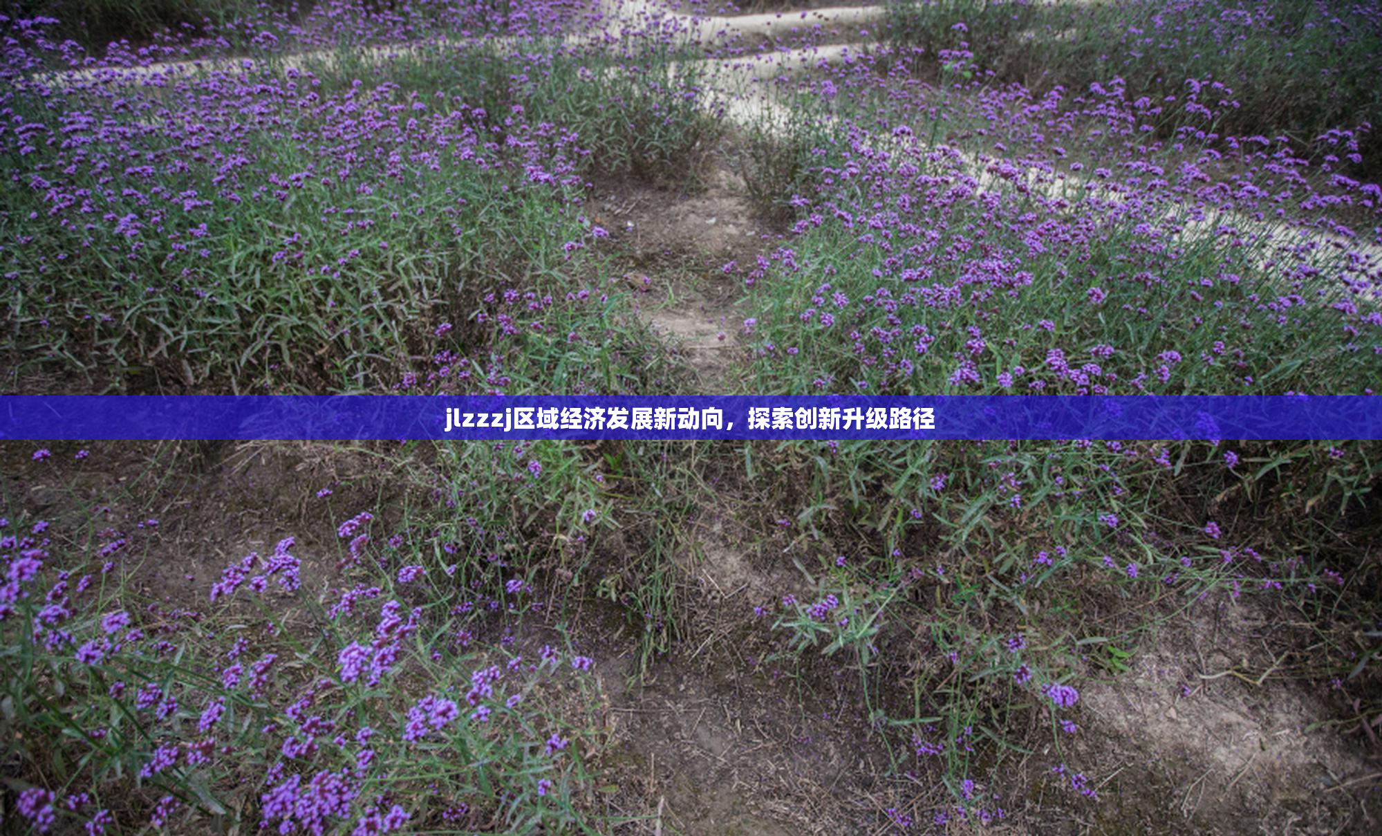 jlzzzj区域经济发展新动向，探索创新升级路径
