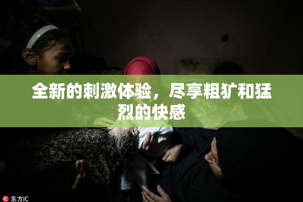 全新的刺激体验，尽享粗犷和猛烈的快感