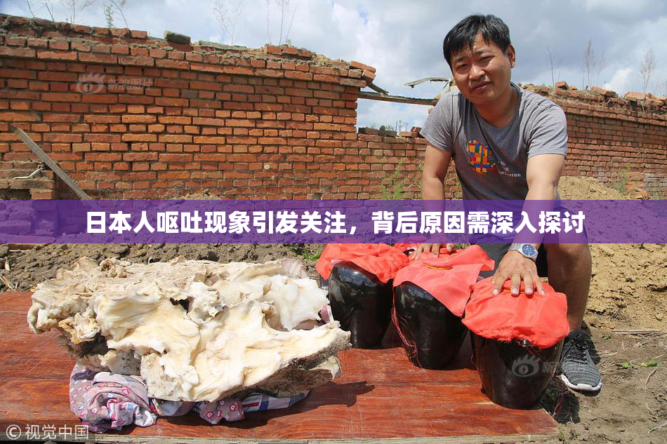 日本人呕吐现象引发关注，背后原因需深入探讨