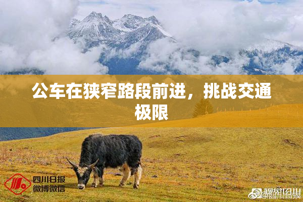公车在狭窄路段前进，挑战交通极限
