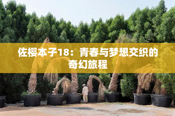 佐樱本子18：青春与梦想交织的奇幻旅程
