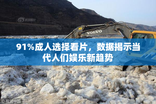 91%成人选择看片，数据揭示当代人们娱乐新趋势