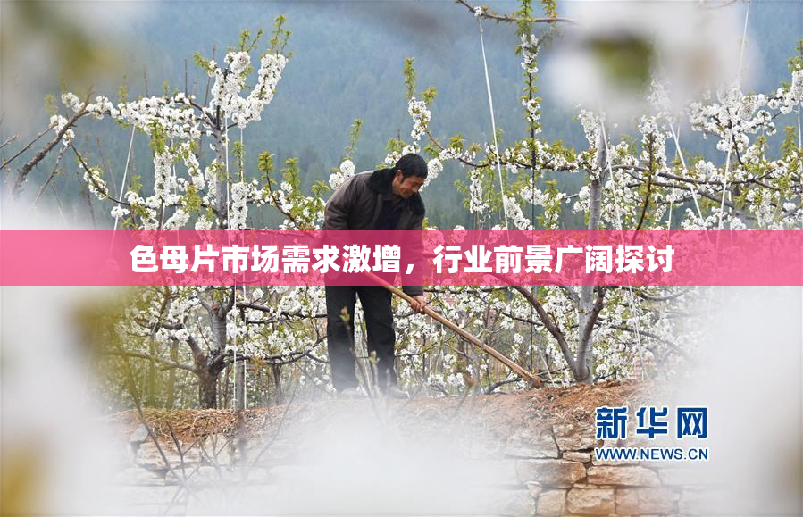 色母片市场需求激增，行业前景广阔探讨