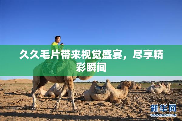 久久毛片带来视觉盛宴，尽享精彩瞬间