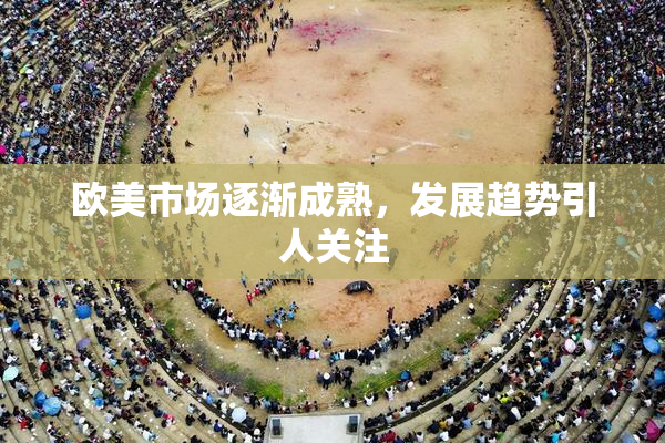 欧美市场逐渐成熟，发展趋势引人关注