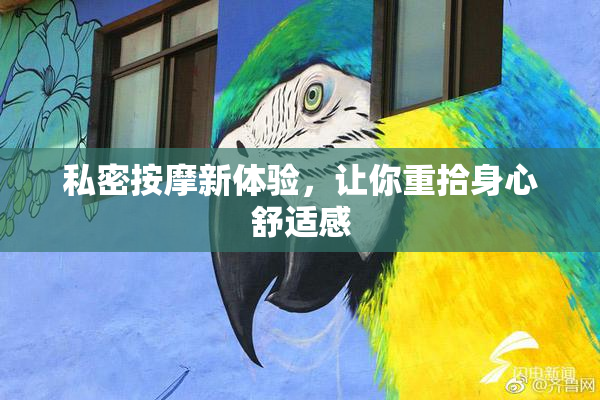 私密按摩新体验，让你重拾身心舒适感