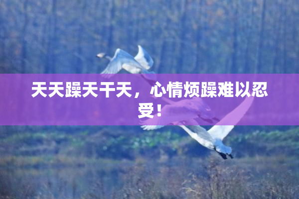 天天躁天干天，心情烦躁难以忍受！