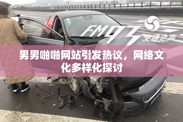 男男啪啪网站引发热议，网络文化多样化探讨