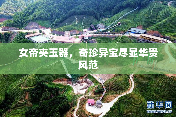 女帝夹玉器，奇珍异宝尽显华贵风范