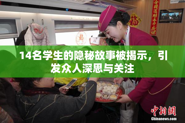 14名学生的隐秘故事被揭示，引发众人深思与关注