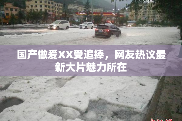 国产做爰XX受追捧，网友热议最新大片魅力所在